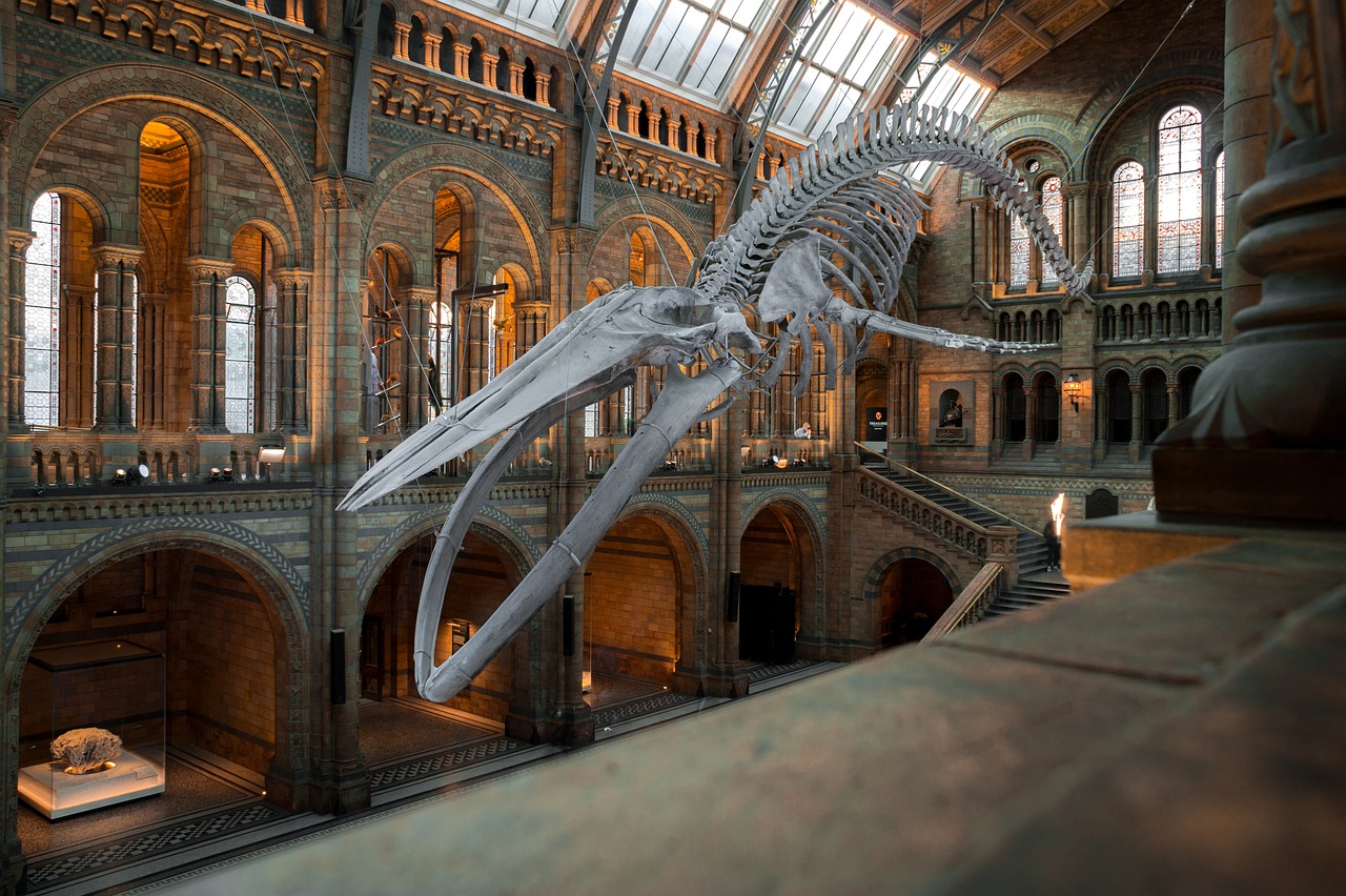 Un bon plan stationnement proche du Musée d'Orsay