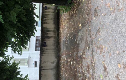 Place de parking Moirans