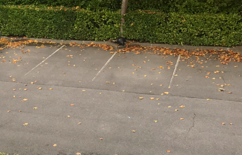 Parking - Herblay / Beauchamp