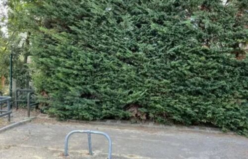 Parking privatif sécurisé Tram5 Estanove