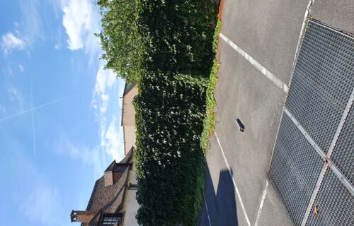 Place de Parking - Résidence sécurisée Pontault