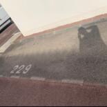 Places de parking